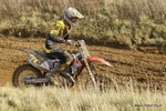 MX 291011 310