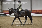 BPP_2232
