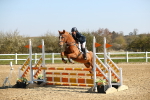 SBM_000180