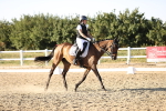 SBM_007869