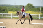 SBM_009500