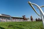 080426-Race 4-Evocative Spark-5632