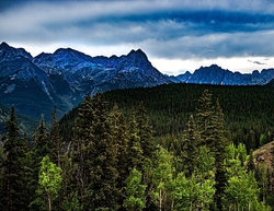Nature portfolio