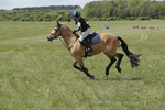 BVHT 140517  IXC -554