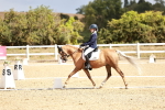 SBM_004307