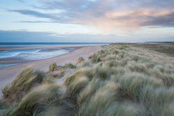 Holkham NNR