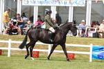 3E7A0785