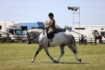 SBM_17724