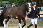 WJ6_8076