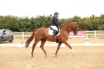 SBM_000708