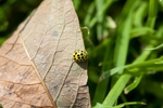20110820-IMG_6292