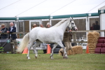 SBM_09786