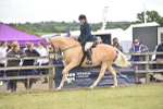 SBM_15938
