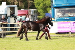 SBM_00673