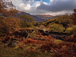 Autumn at Llanberis.