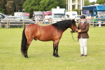 SBM_00539
