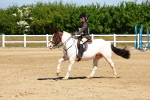 SBM_007260