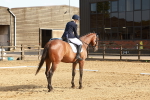 SBM_000225