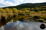 _DSC0679