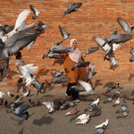 Woman with pidgons flying, Chiang Mai ,Thailand