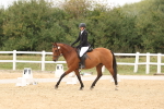 SBM_00959