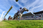220926-Race 7-Mudamer-7601