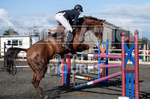 Senior Showjumping_10-11-2019-10