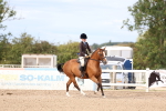 SBM_18339