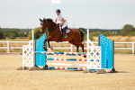 SBM_003431
