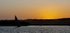 IMG_20241124_165445