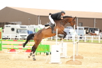 SBM_010181