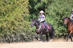 WJ6_7920