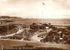 Paignton 13