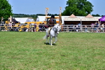 SBM_07791