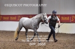BPP_2668