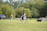 WJ6_0423