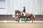 SBM_003280