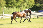 SBM_20274