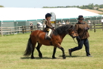 SBM_05243