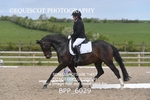 BPP_6029