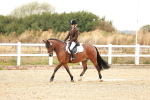 SBM_000631