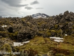 Snaefellsnesvegur lava field 2
