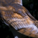 _DSC0897