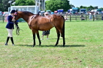 SBM_03861