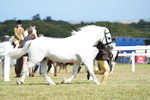 DSC07545
