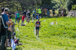 The Finish-1358