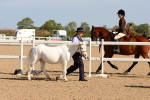 SBM_17662