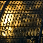 Palm House