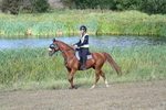 WJ7_3397