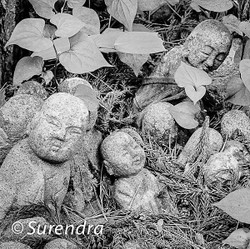 Jizo on Sado Island portfolio
